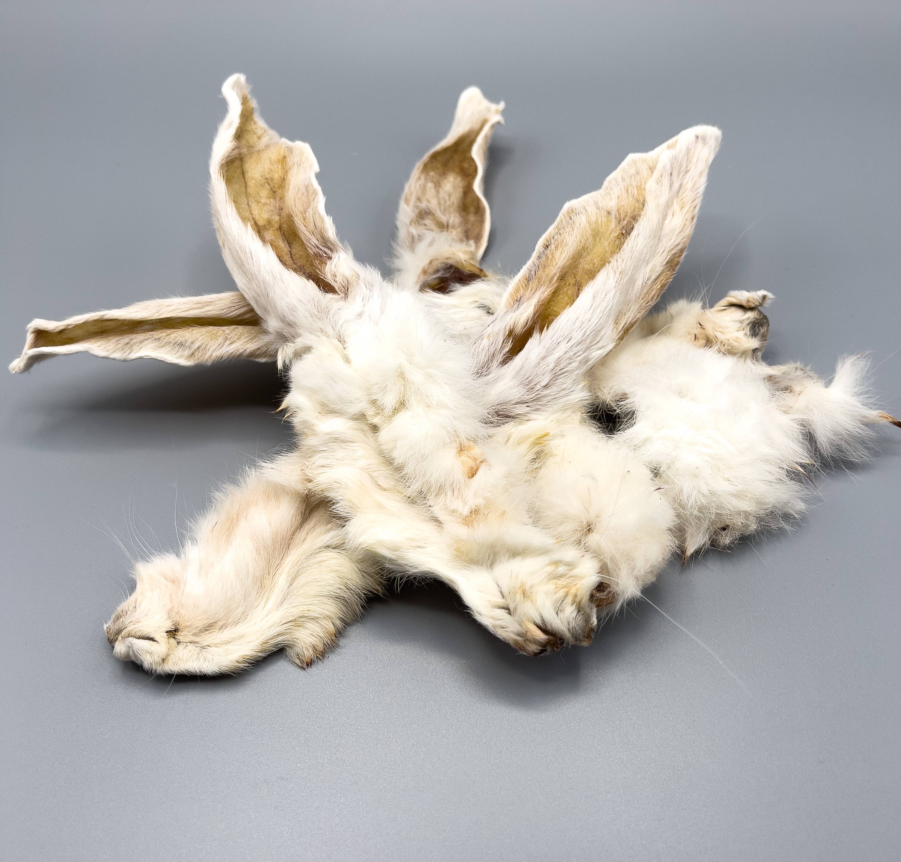 Perla PetFood – Großhandel Leckerlis – Hund – Snack BARF Kaninchenohren mit Fell 100% Made in Italy1