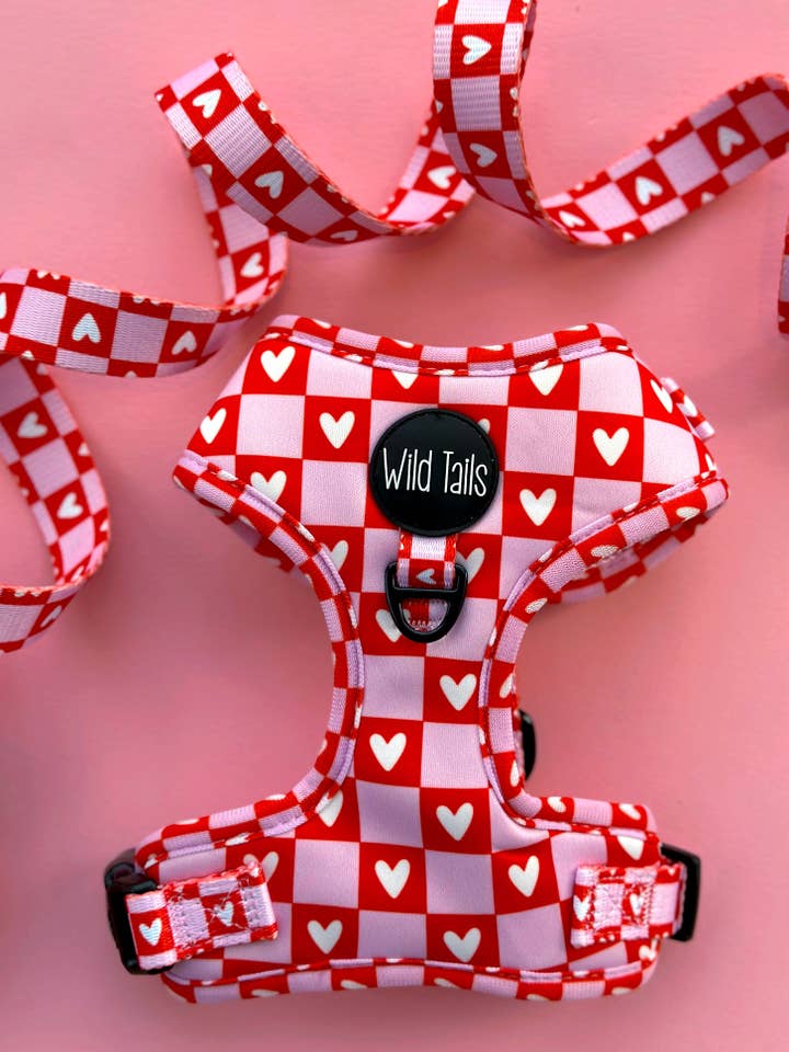 Harnais Love Letters avec cœur pour la vente par Wild Tails Co