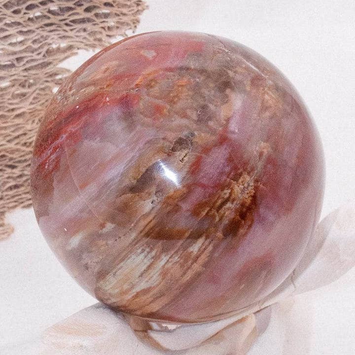 Petrified Wood Sphere - AAA Premium Quality for wholesale by Tiny Rituals