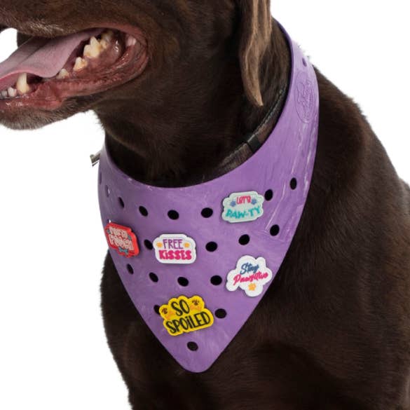 Charmdana, léger, violet, bandana pour chien en caoutchouc avec breloques ! pour la vente par Wag Around Town