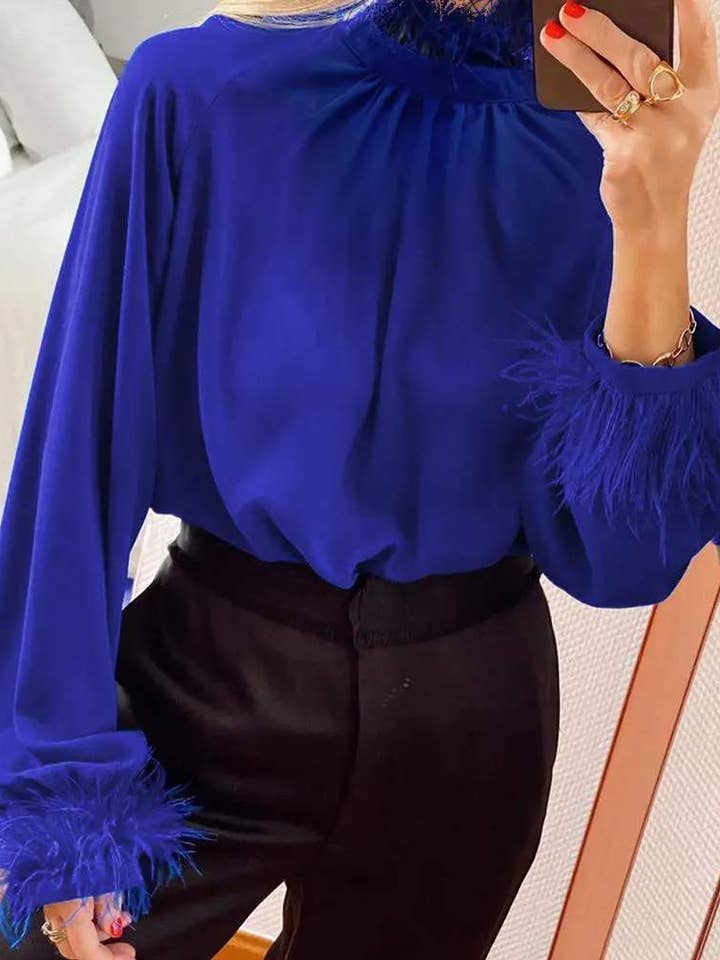 BLUE feather detail lantern sleeve top for wholesale on Faire0