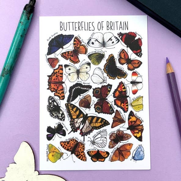 Butterflies of Britain Art Blank Postcard for wholesale by Alexia Claire Ltd