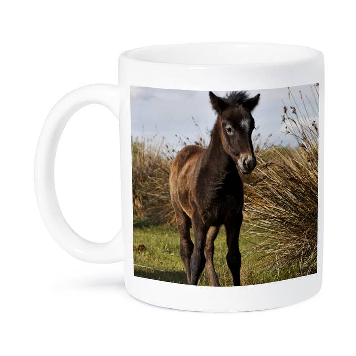 3dRose - Wholesale Coffee Mug - 3dRose, Camargue horse foal, Camargue region, France - EU09 AJE0141 - Adam Jones, Mug8