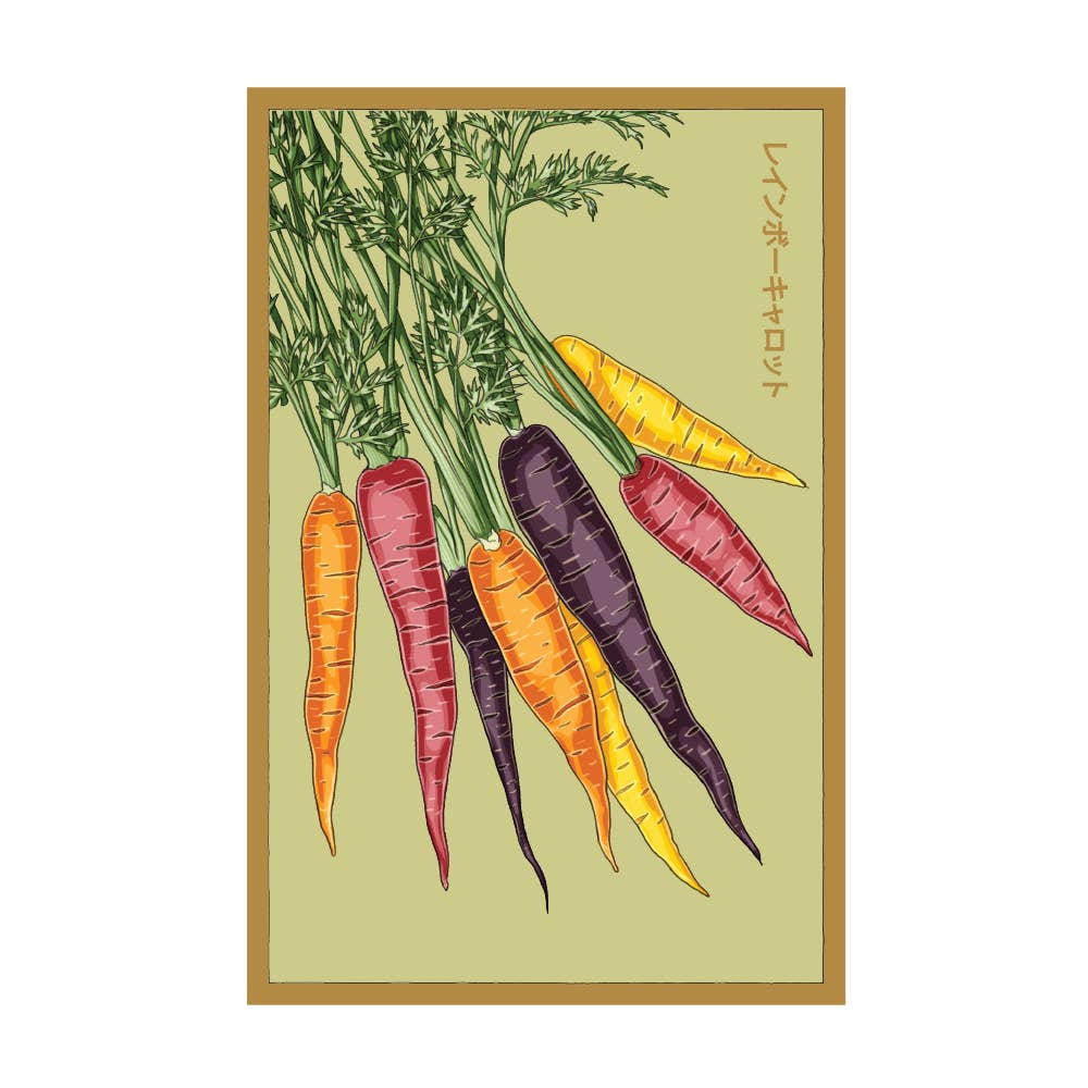Chive Canada - Wholesale Plant Seeds - 2026 Rainbow Carrot Vegetable Seeds Packet