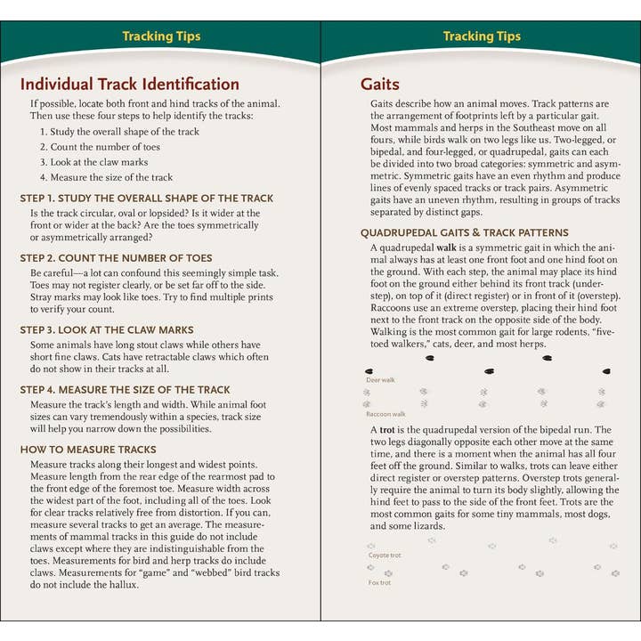 AdventureKEEN - Wholesale Nature & Outdoors - Animal Tracks of SE & Gulf Coast Quick Guide3