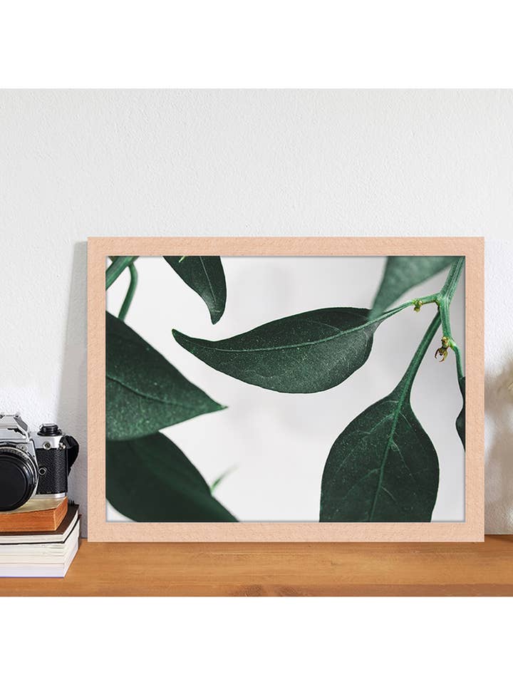 Image des feuilles. Impression murale avec cadre. pour la vente par Any Image