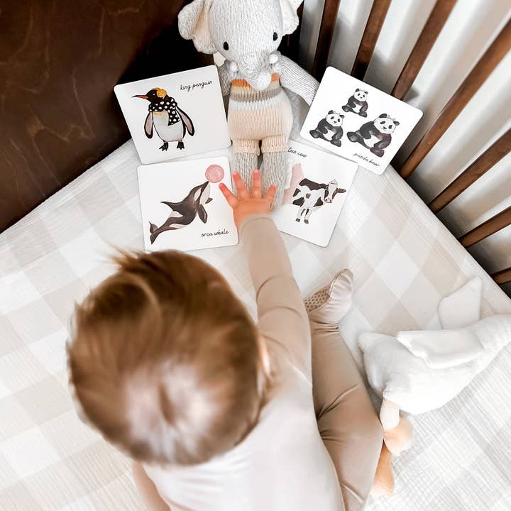 Milliemark - Wholesale Learning Cards - Kids & Baby - Art Cards for Baby8