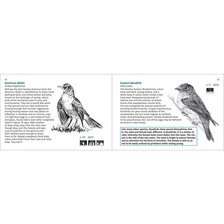 AdventureKEEN - Wholesale Nature & Outdoors - Bird Finder 2e5