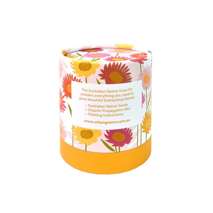 Urban Greens - Wholesale Plant seeds - Urban Greens Australian Native Everlasting Daisies Grow Kit2