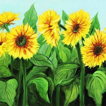 Bernardino Gianola - Champ de tournesols pour la vente par Migneco & Smith