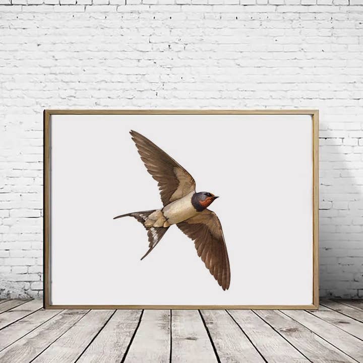 Hidden Planet - Wholesale Art Print - Swallow - A4 Print (landscape)