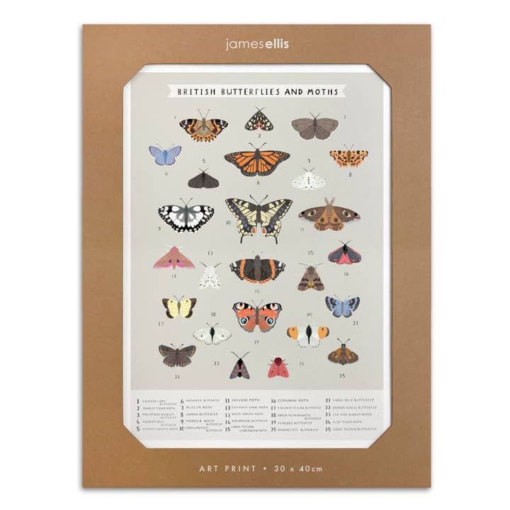 Brittiska fjärilar och nattfjärilar tryck för wholesale av James Ellis