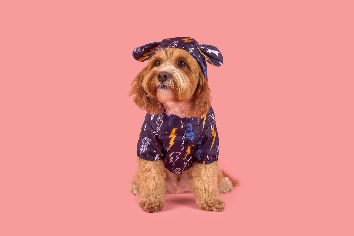 Big and Little Dogs - Wholesale Pet Raincoat - Dog - DOG RAINCOAT: Lightning Storm10
