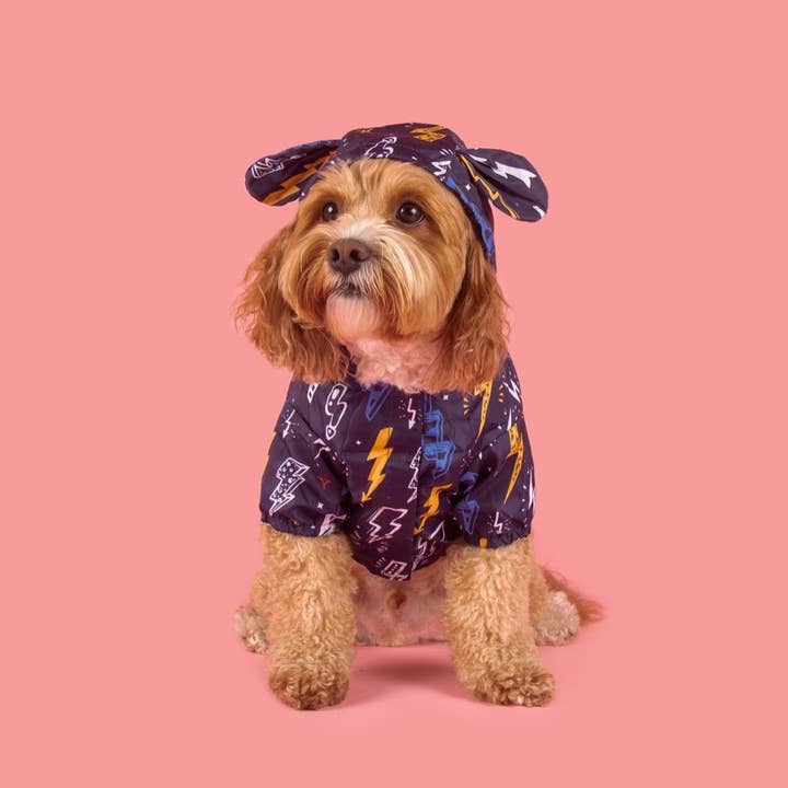 Big and Little Dogs - Wholesale Pet Raincoat - Dog - DOG RAINCOAT: Lightning Storm10