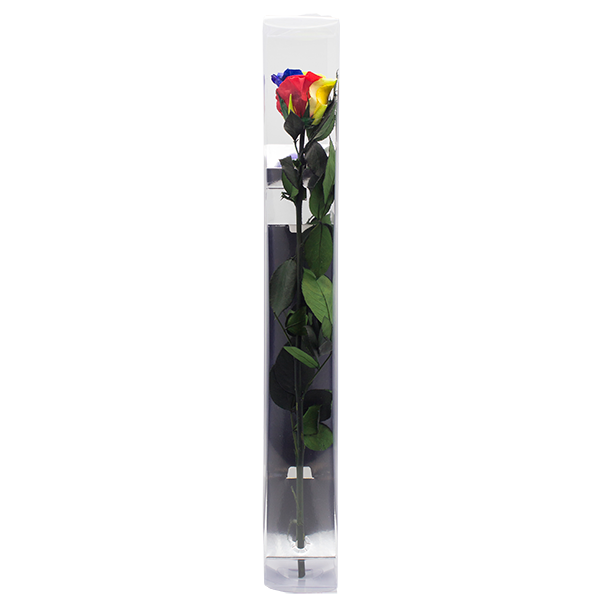 Concari.flores Preservadas - Wholesale Artificial Flowers - ROSE WITH PRESERVED STEM12