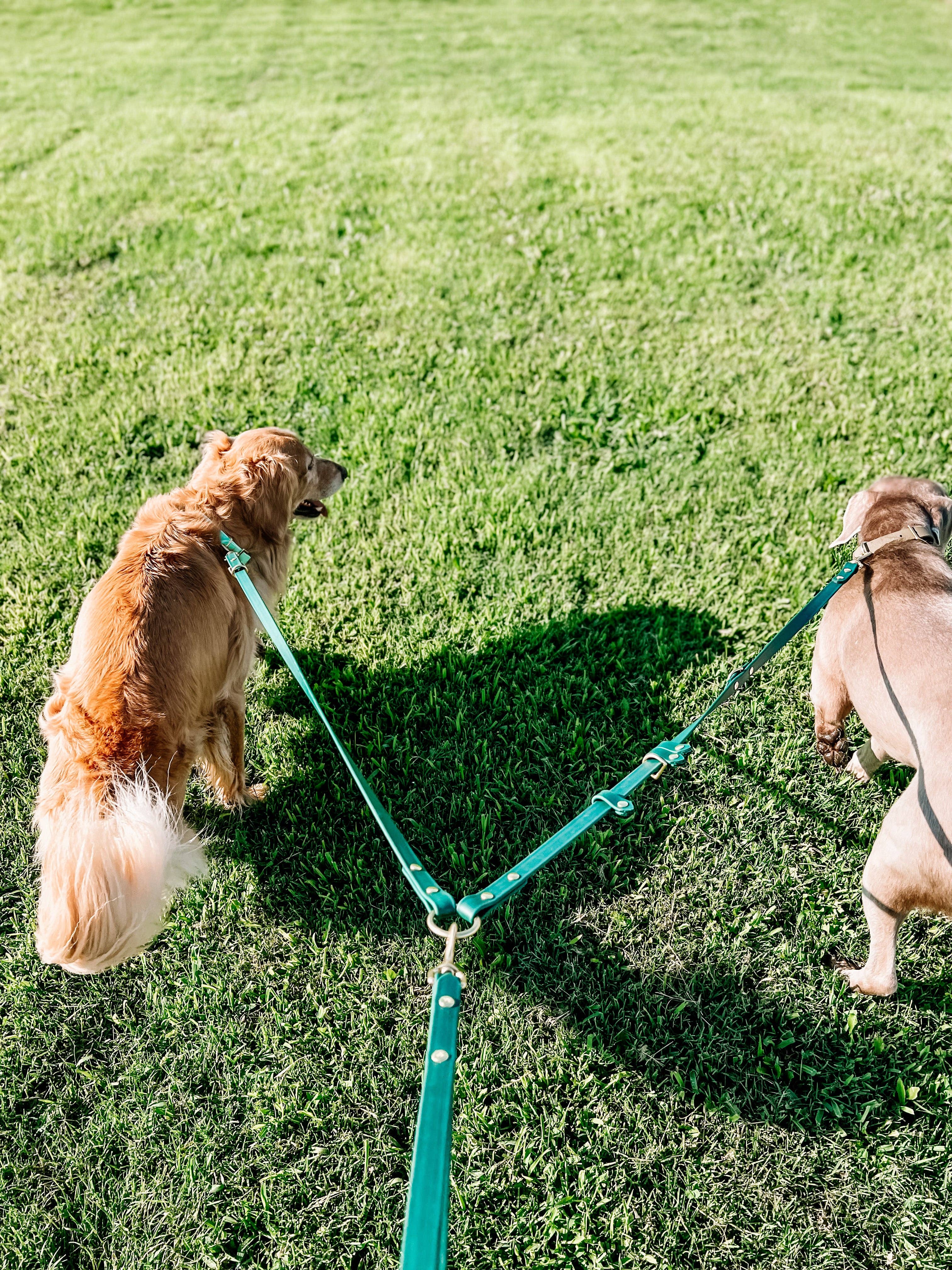 Ruff N' Fluff - Wholesale Pet Leash - Dog - The Harper System (All in One)5