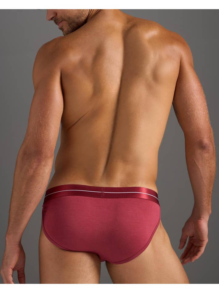 TEAMM8 - Wholesale Underwear - Men's - Icon Sport Brief - Dusty Red