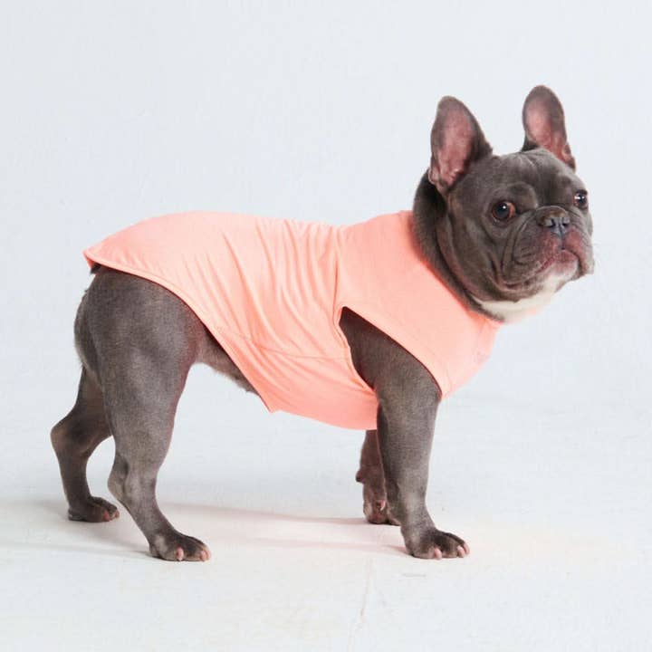 Spark Paws - Wholesale Pet shirt – Dog - Sunblock Dog T-Shirt - Peach3