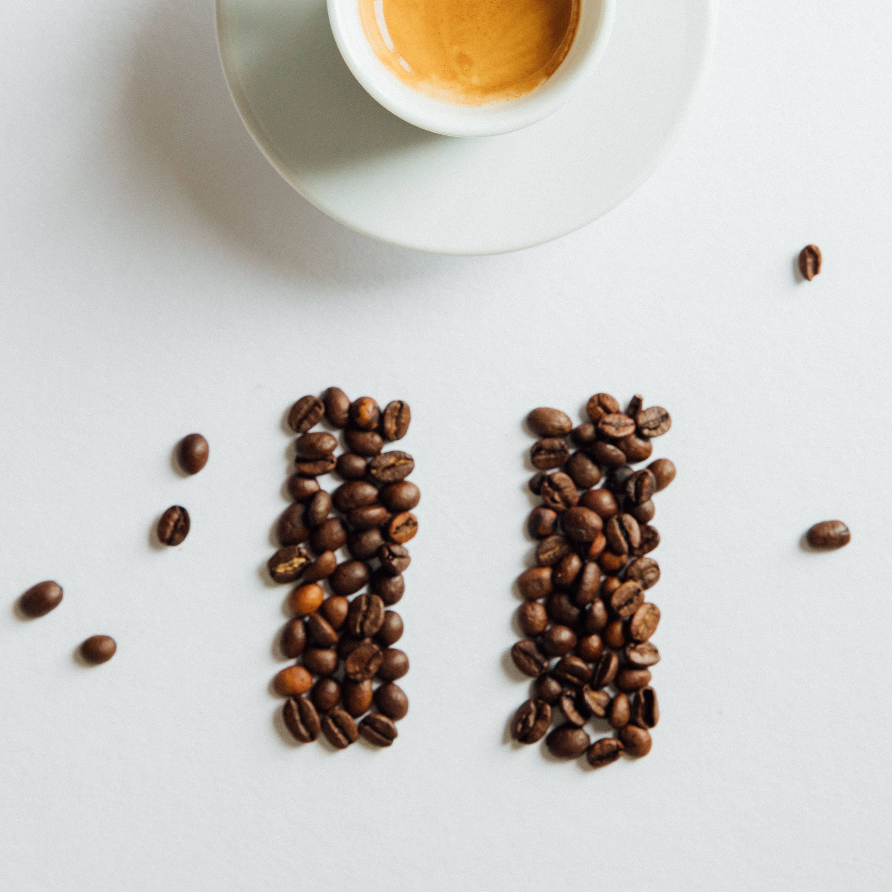 Italvi srl - Vendita all'ingrosso Caffè in grani - 100% Arabica professionale - 1 kg2