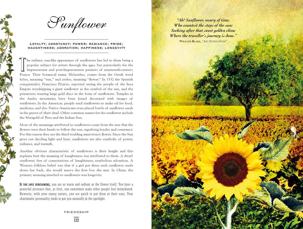 Simon & Schuster - Wholesale Nature & Outdoors - Secret Language of Flowers by Samantha Gray3