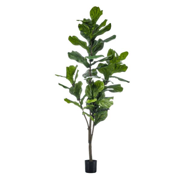 Plante artificielle Ficus Lyrata – Figuier lyre – 150 cm – Facile d'entretien & réaliste – Parfait pour salon & bureau pour la vente par Oasis of Life