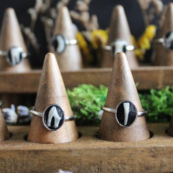 Anéis de Aço Inoxidável com Ossos e Dentes joalharia de curiosidades dentes por atacado de Kitty Bomb Curios