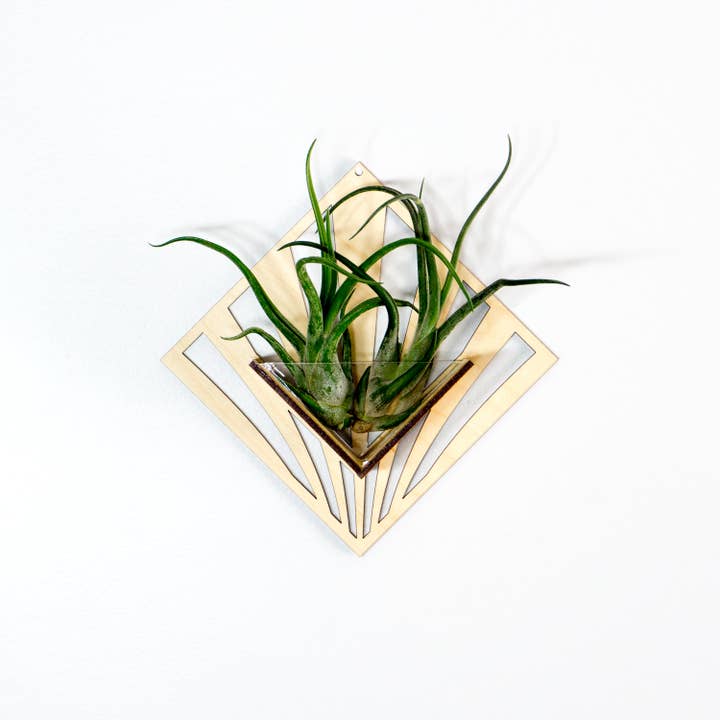 LIGHT RAZOR DESIGN STUDIO - Wholesale Wall planter - Air Plant Holder / Quadrate Wall Hanging Planter 290