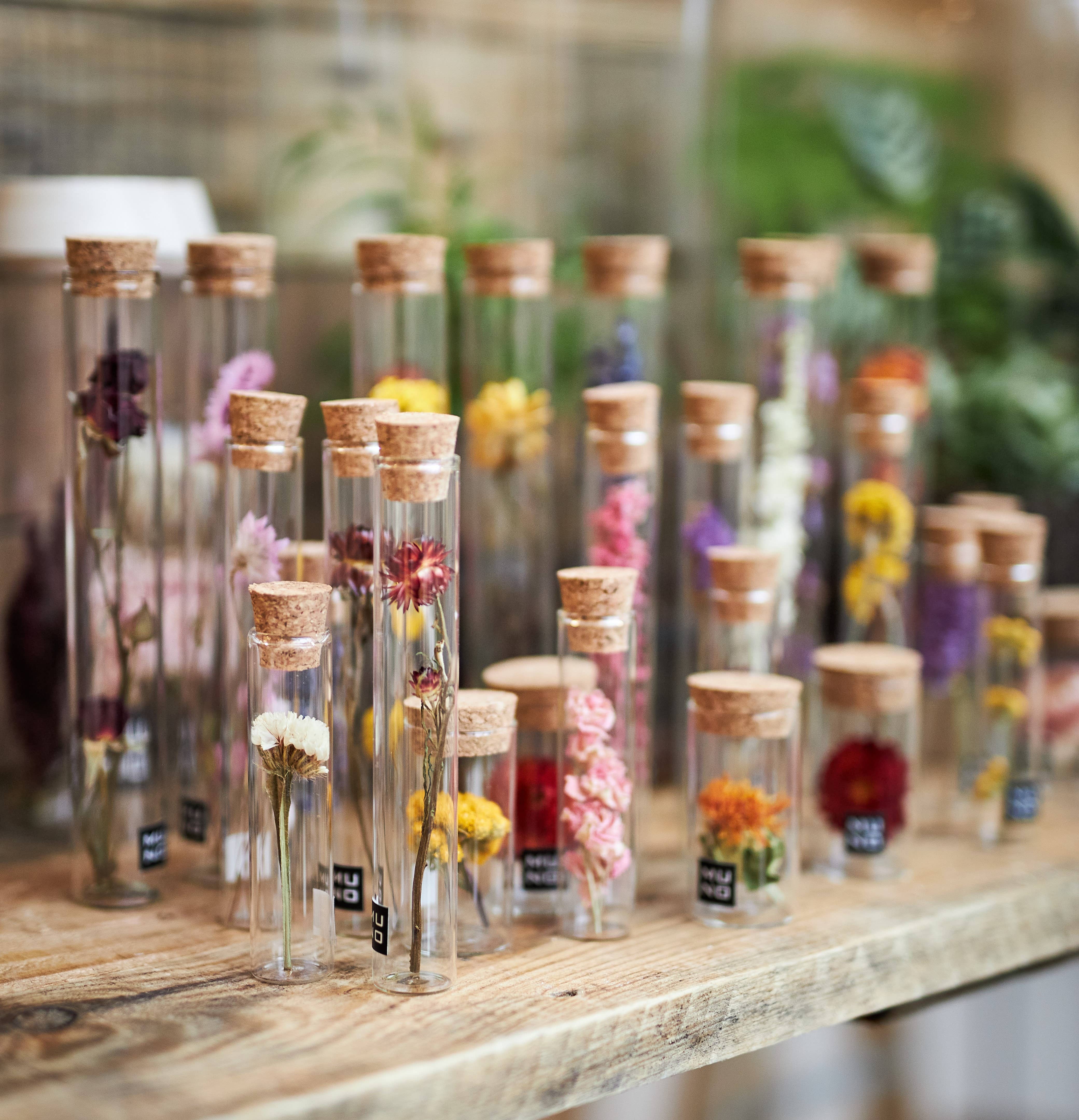 Muno - Wholesale Dried/Pressed Flowers - TUBE 10 CM WITH DRIED FLOWER - Gift2