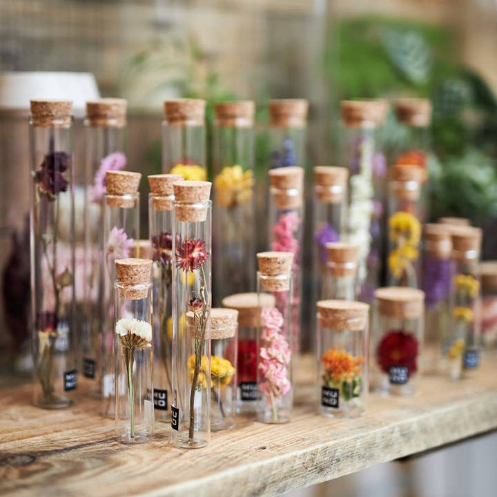 Muno - Wholesale Dried/Pressed Flowers - TUBE 10 CM WITH DRIED FLOWER - Gift2