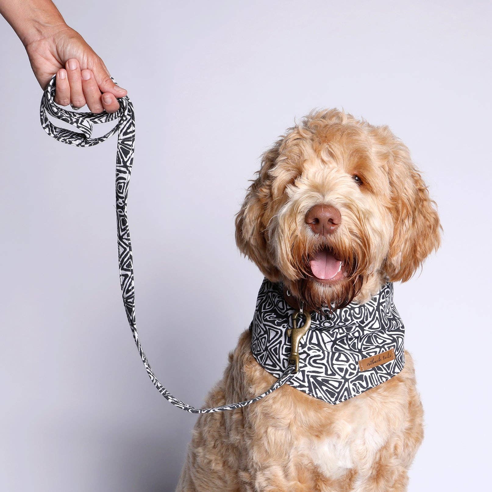 Outback Tails - Wholesale Hondenriem - Hond - Hondenriem van veganistisch canvas - Salt Lakes2