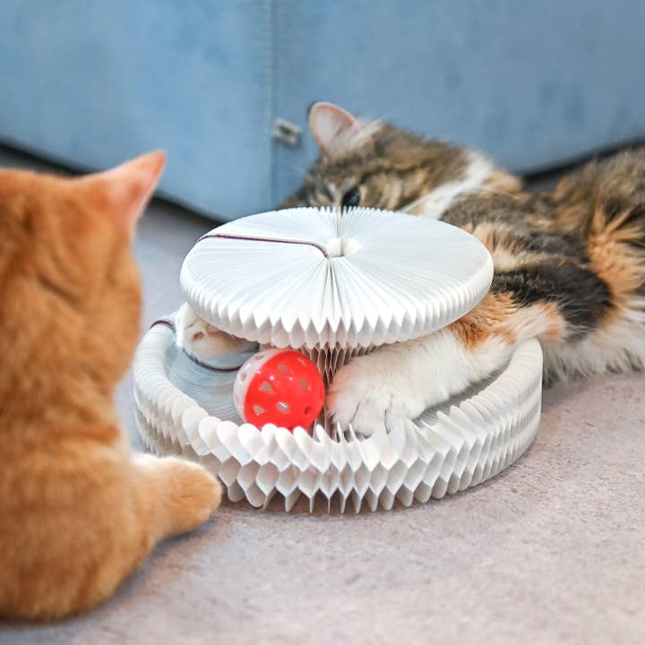 Olchi - Wholesale Pet Toy - Cat - WIGGLEE MAGIC BALL TRACK (CAYA-TO9520)