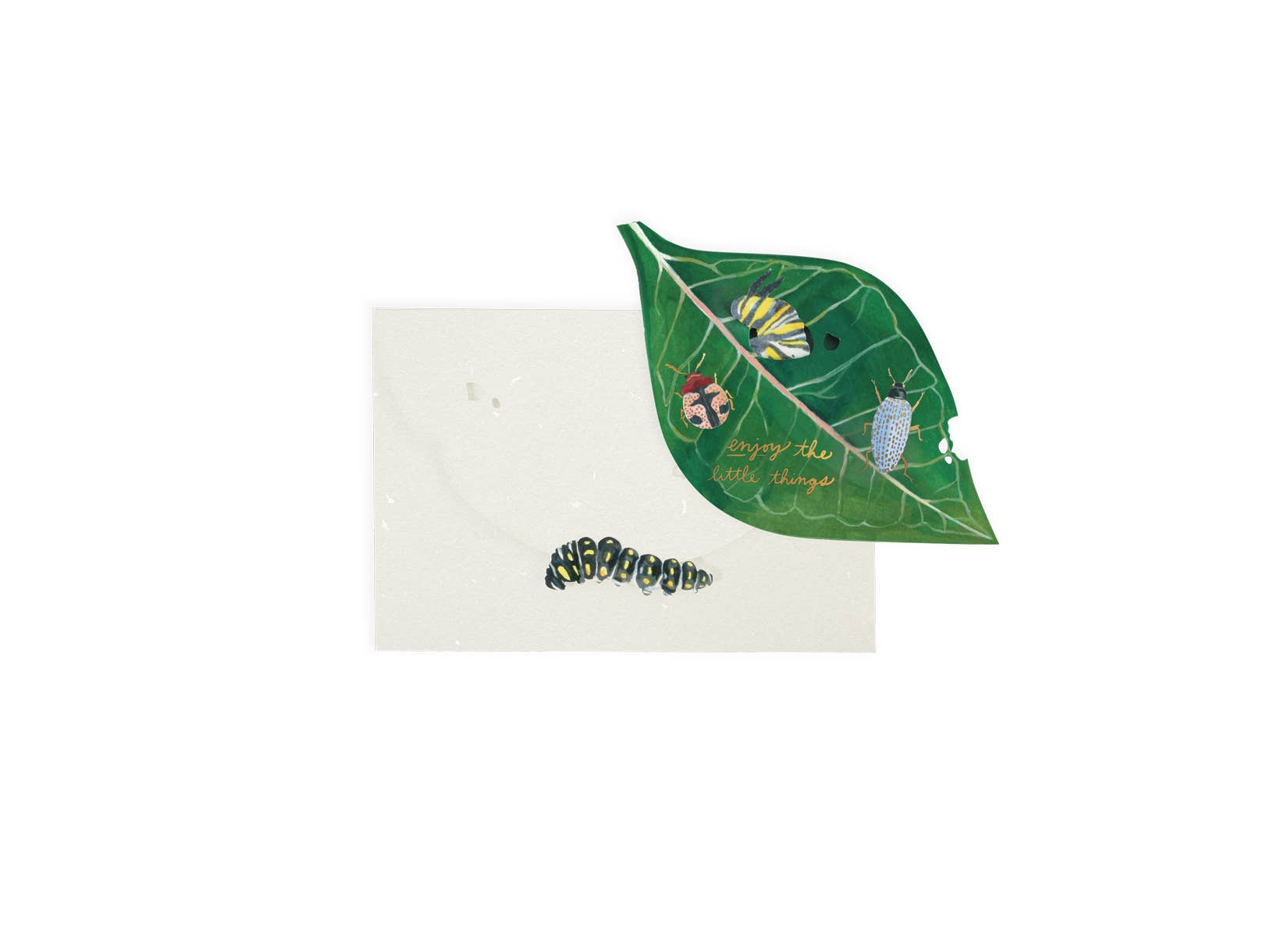 UWP Luxe - Wholesale Encouragement Card - Caterpillar Pop-Up Card1