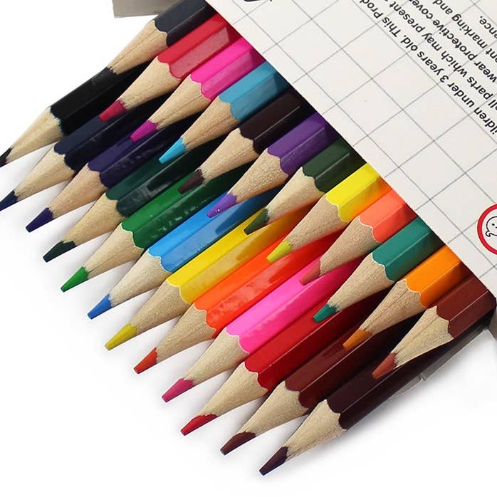 Powell Creative Products Ltd - Vendita all'ingrosso Matite colorate - Set di matite colorate 24 pezzi per bambini, adulti, scuola e arte4