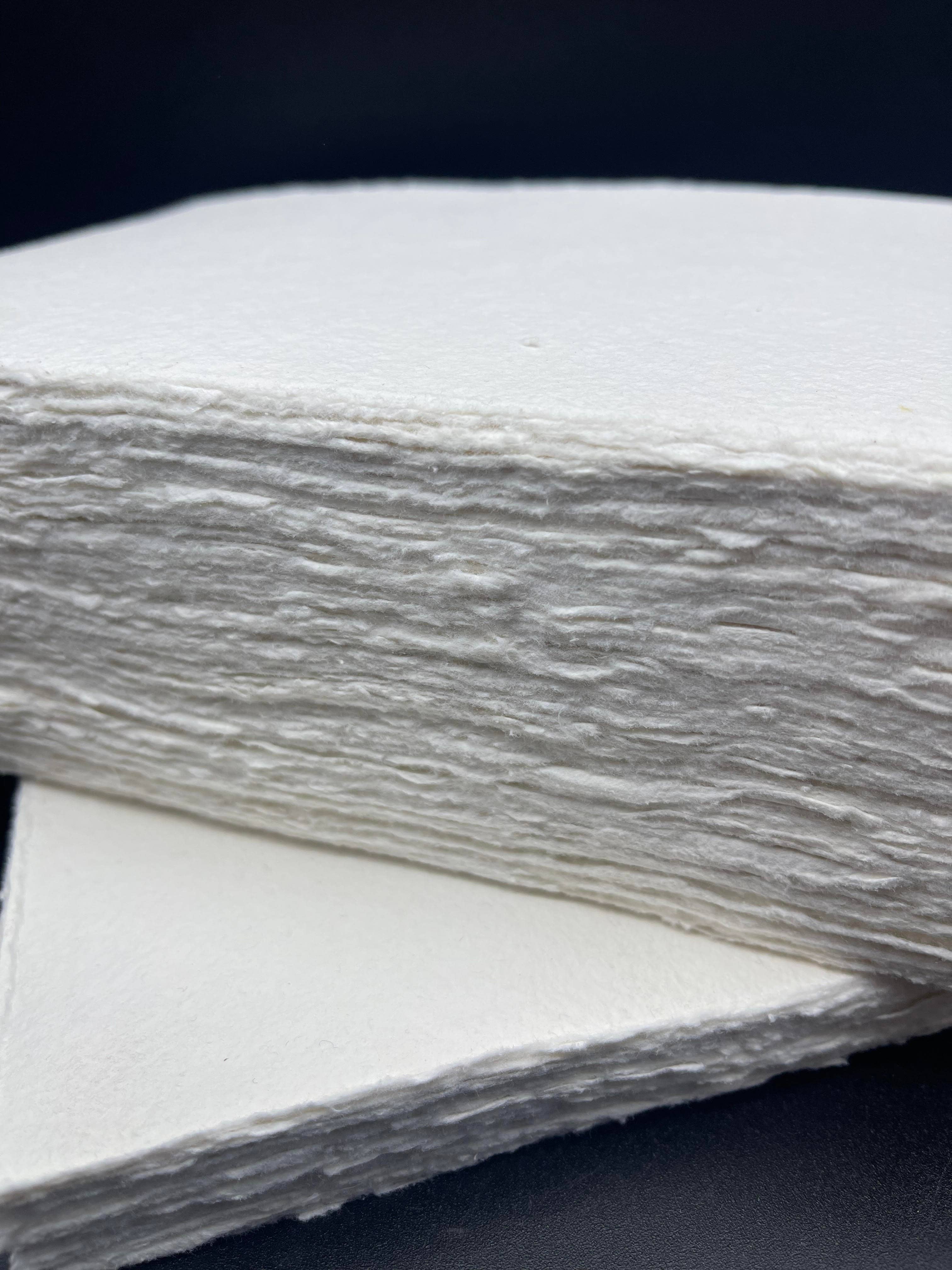 Chartabookbinder - Wholesale Art Print - Bambi1