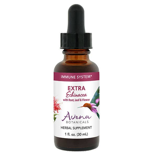 Extra Echinacea for wholesale by Avena Botanicals