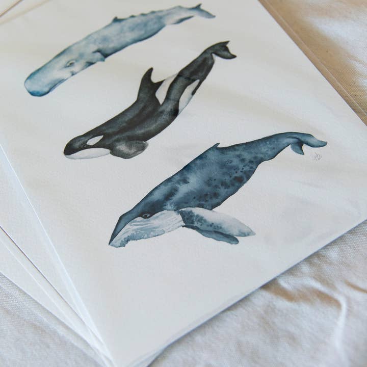 Sarah Jane Studio Art - Wholesale Art Print - Whales Watercolor Print2