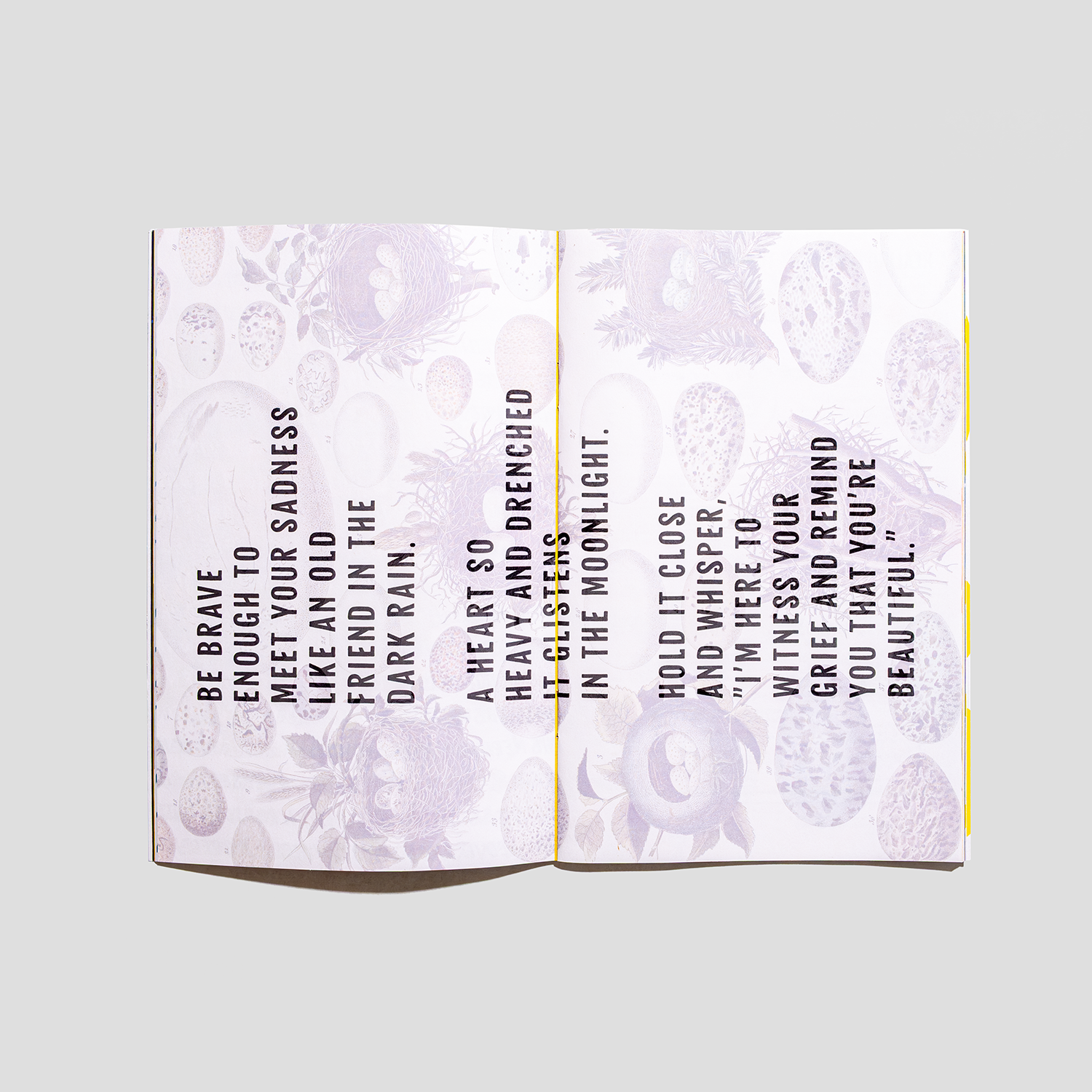 Velvetback - Wholesale Self-Help & Personal Development Book - Seasons Zine - Miscarriage Grief Rituals and Healing Booklet4