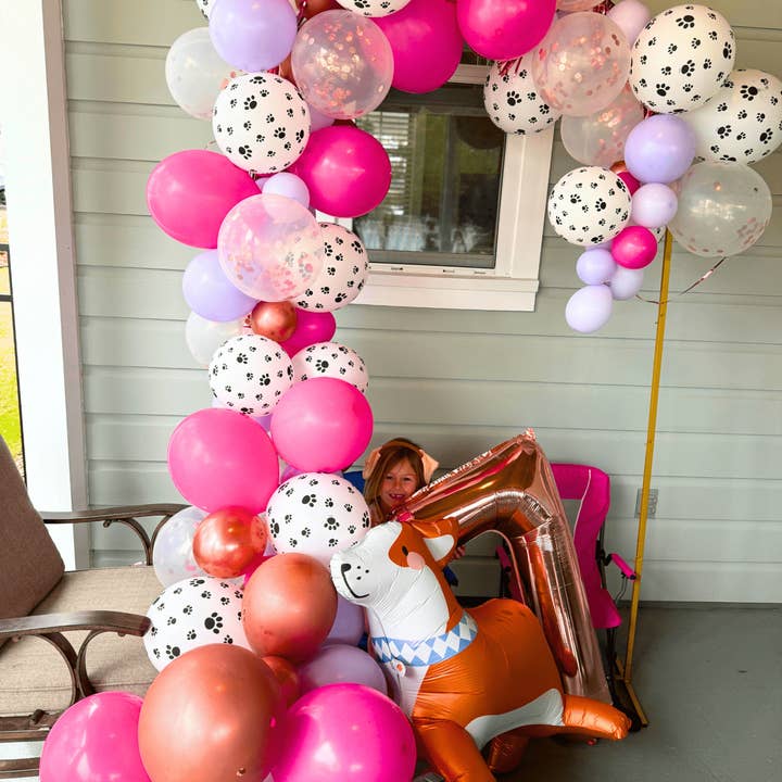 Kit para guirnalda de globos de cachorro rosa para venta al por mayor de Ellie's Party Supply