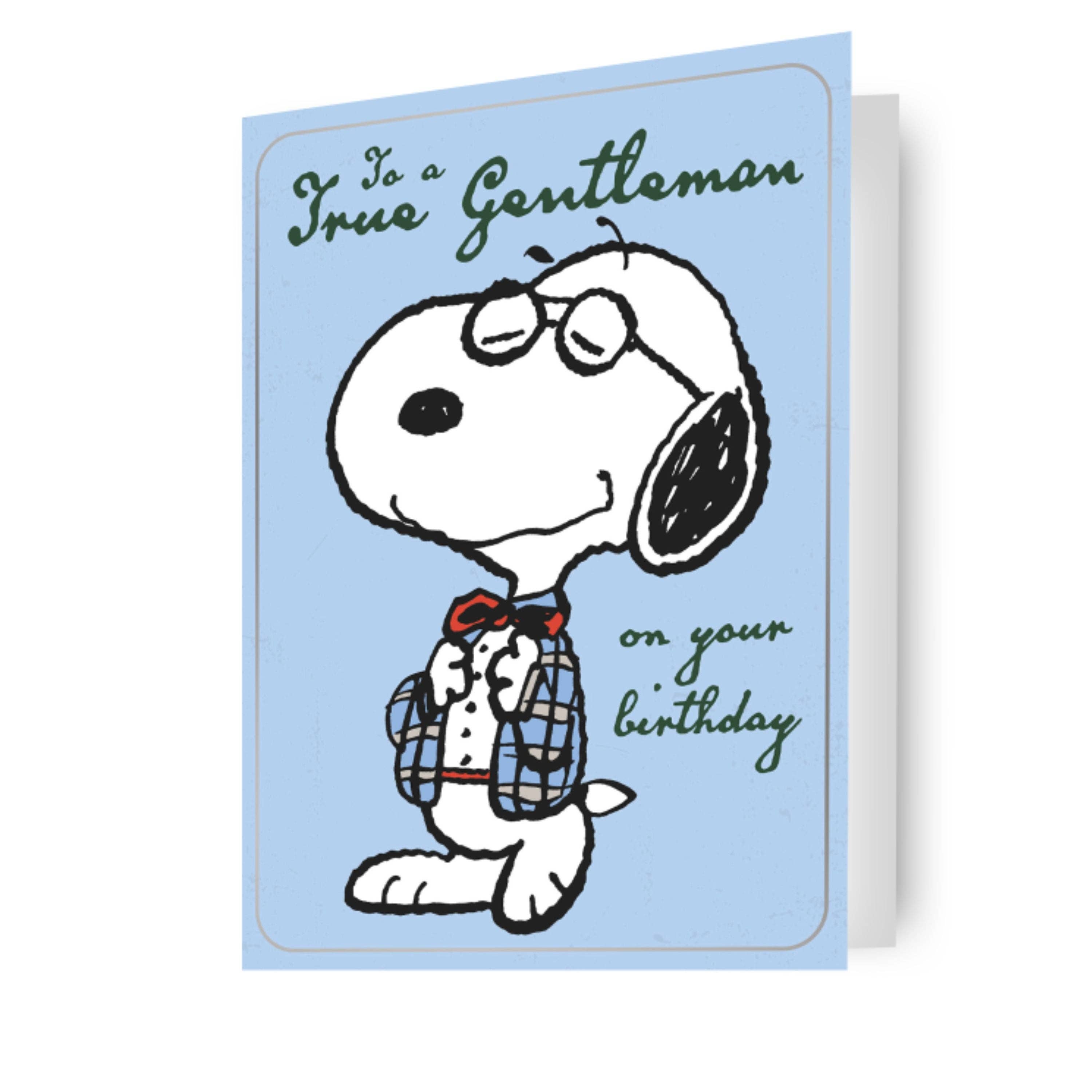 Danilo Promotions Ltd – wholesale Birthday card – Peanuts Snoopy Birthday Card for Him0