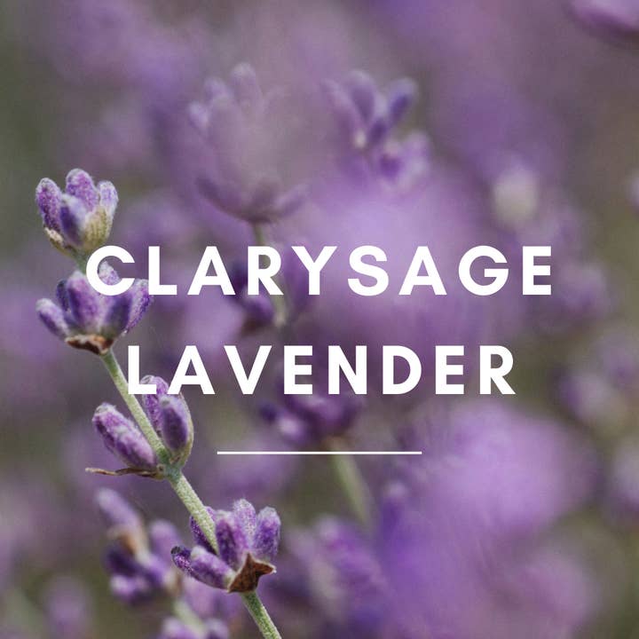SunLeaf Naturals - Wholesale 2-in-1 Shampoo & Body Wash - Men's - Clarysage Lavender Shampoo & Body Soap4