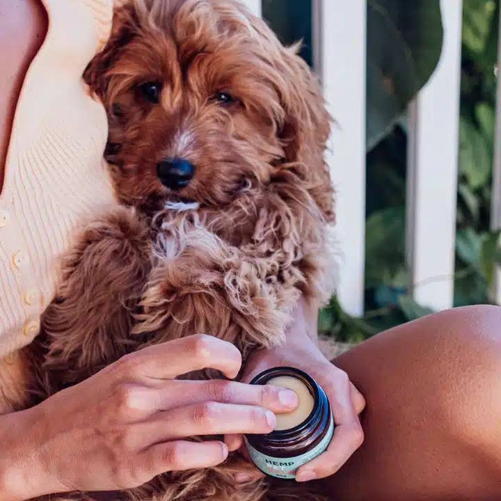 Hemp Collective - Wholesale Pet balm – Dog - Hemp Pet Balm 15g