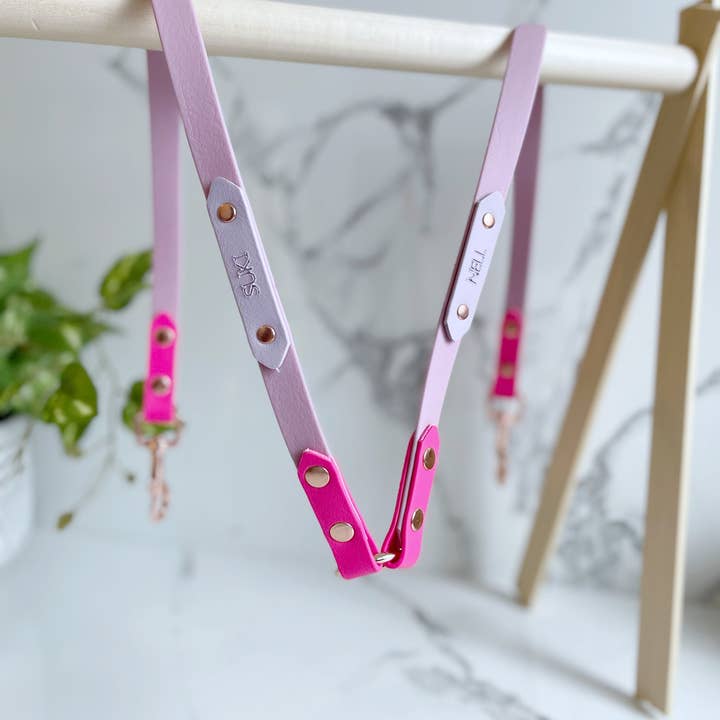 My Pawchella - Venta al por mayor Correa - Perros - Biothano/divisor de correas de colores4