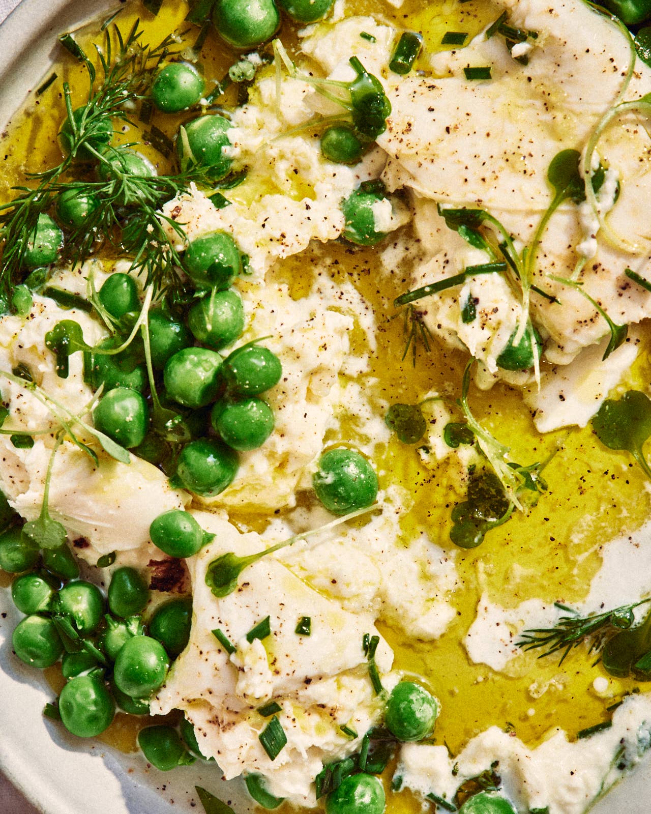 Like Family - Wholesale Olive Oil - Verdi Extra Virgin Olive Oil - New Harvest7