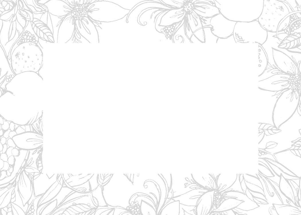 Schiffer Publishing – Großhandel Briefpapier-/Postkarten-Set – Aquarell-Karten: Illustrationen von Kristy Rice5