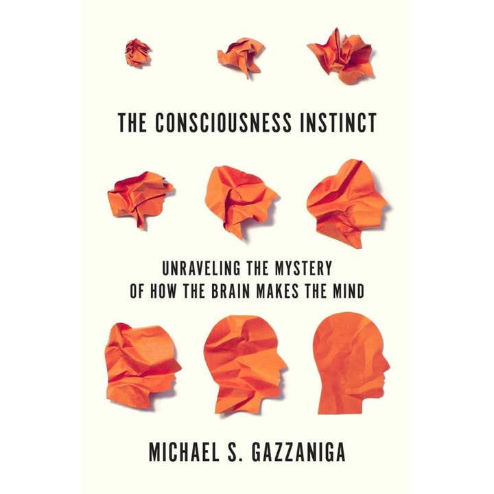 Consciousness Instinct: How the Brain Makes the Mind for wholesale by Microcosm Publishing & Distribution