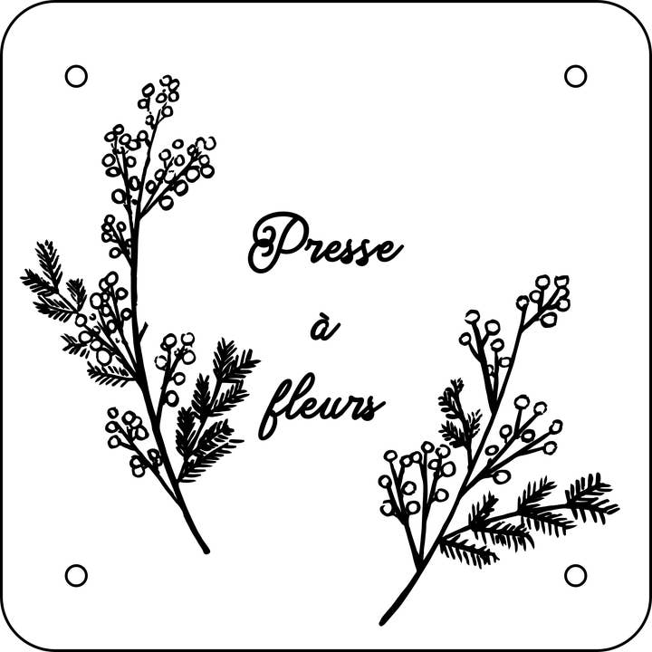 L'Atelier des Epatants - Wholesale DIY Craft Kit - small flower press for wooden herbarium