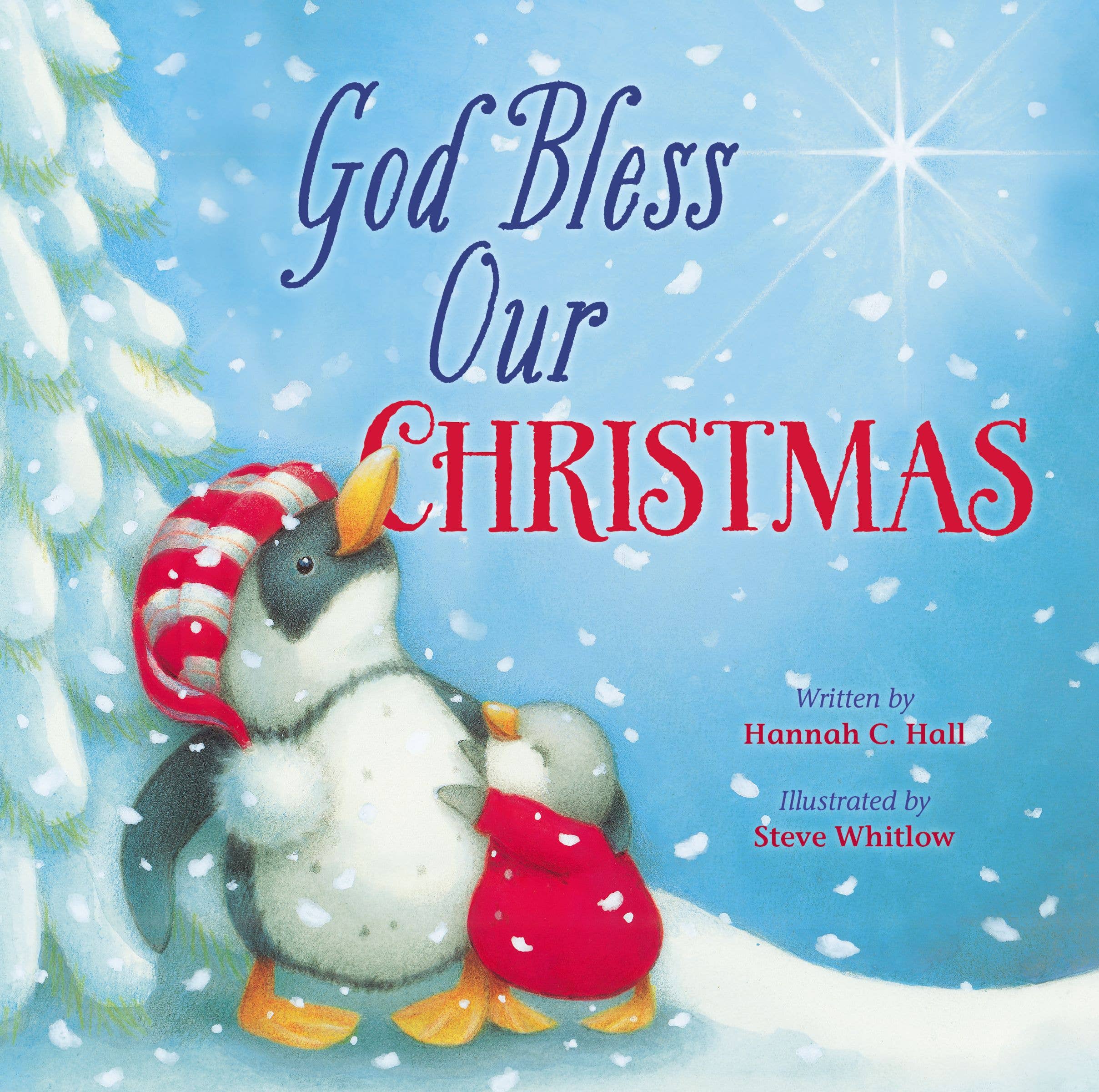 HarperCollins Christian Publishing - Wholesale Baby & Toddler Book (0-2) - God Bless Our Christmas1