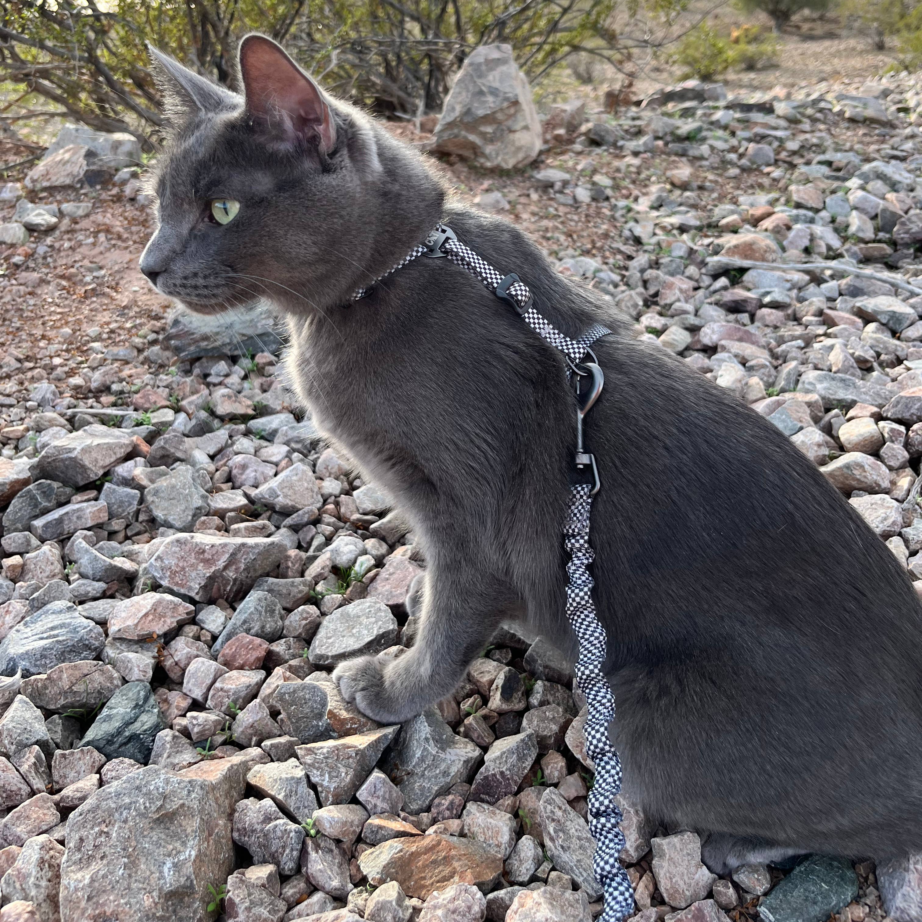 Travel Cat Wholesale - Wholesale Pet Harness - Cat - "The Day Tripper" Adjustable H-Style Cat Harness1