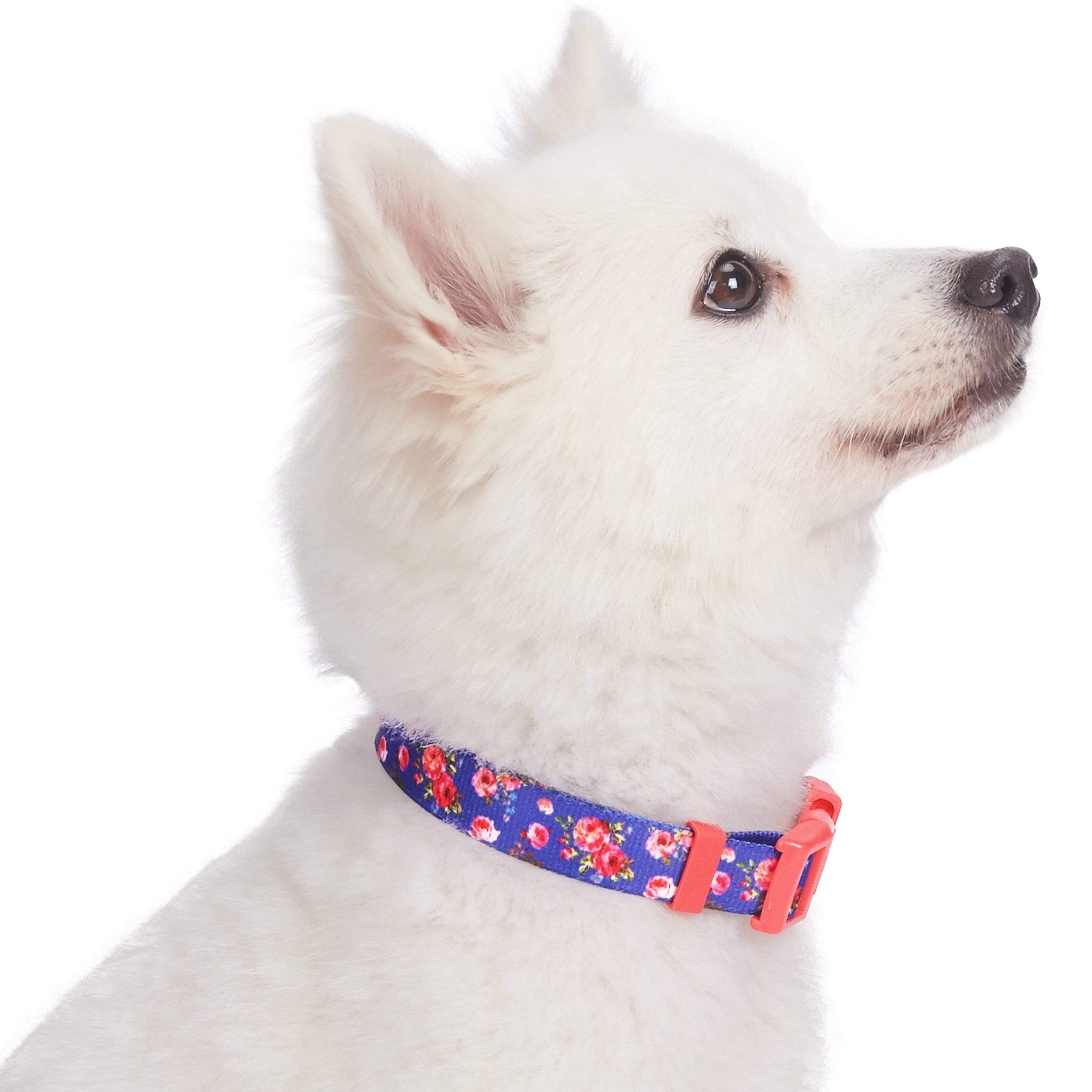 Blueberry Pet - Wholesale Halsband - Hond - Lichtgewicht verstelbare hondenhalsband met lente bloemenpatroon2