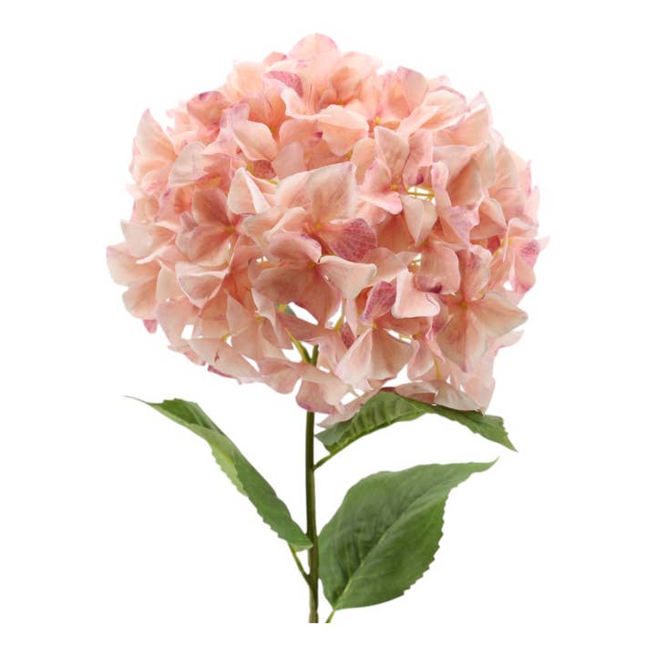 Hydrangea 30 x 95 cm pink for wholesale by Floratexx